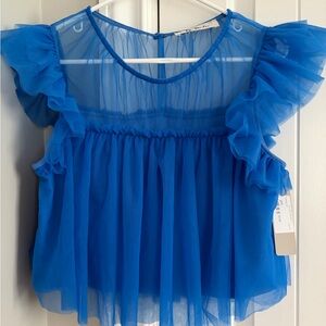 Lizard Thicket Vibrant Blue Sheer Top